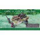 GALLIC & CELTIC DAILY LIFE - STL Files Pack + Pre-supported