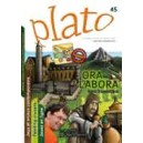 Plato n°45