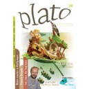 Plato n°36