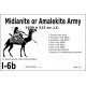 DBA3.0 - 1/6b MIDIANITE / AMALEKITE 1500-312 BC / EARLY ARAB 1000-312 BC
