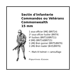 Section d'Infanterie Commandos/Vétérans Commonwealth - 15 mm