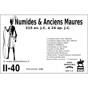 DBA3.0 - 2/40 NUMIDES & ANCIENS MAURES