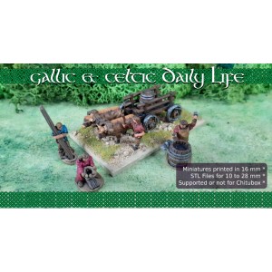 GALLIC & CELTIC DAILY LIFE - STL Files Pack + Pre-supported