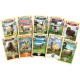 GREAT WESTERN TRAIL - Nouvelle-Zélande - VF