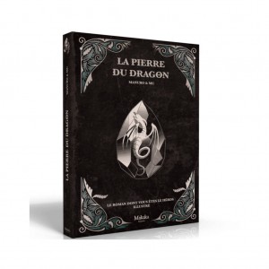 La Pierre du Dragon : Le Roman dont vous Êtes le Héros