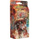 GROUDON - XY Primo Choc - Starter VF - Pokemon JCC