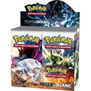 Booster Pokémon : Noir & Blanc