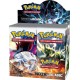 Booster Pokémon : Noir & Blanc