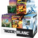 Pokémon : Noir & Blanc Starters