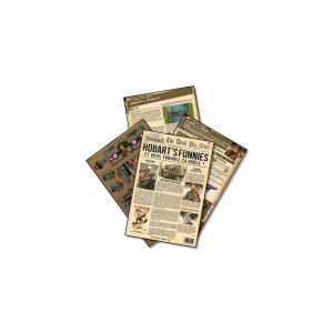 HEROES OF NORMANDIE - Devil Pig News N 2 -  VF