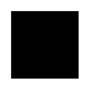 Encre - Noire - VALLEJO 17 ml