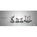 Infinity - Aleph Support Pack