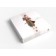 TOKAIDO Deluxe
