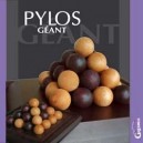 Pylos GEANT