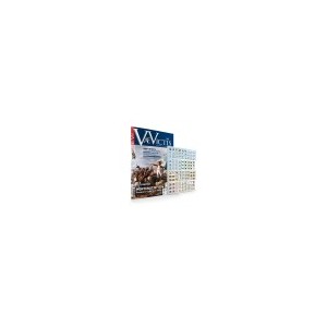 VAE VICTIS  128 - Magazine + jeu