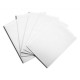 Dragon Shield - Standard - White - 100 PROTEGES CARTES