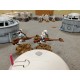 Kit Peinture - Star Wars Legion