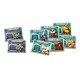 ARCADIA QUEST : Cavaliers