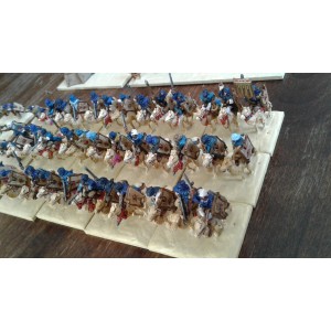 DBA 3.0 - 3/70 Touaregs 1000-1880ap. JC, armée peinte, 15 mm