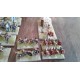 DBA 3.0 - 2/40 Numides ou Anciens Maures - 215 av. JC. à 24 ap. JC. - Armée peinte - 15 mm