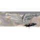 Armada - Nadiri Starhawk - VF