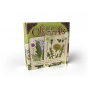 OFFICINALIS