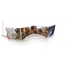 ECRAN DU MAITRE - LE VOL DES DRAGONS - DUNGEONS & DRAGONS - 5eme - VF