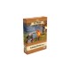 BUILDING MINIATURES - 878 Les Vikings - VF