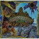 Spirit Island : Terre Fracturée