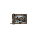 Skinchangers - Trône de Fer : Jeu de figurines - VF